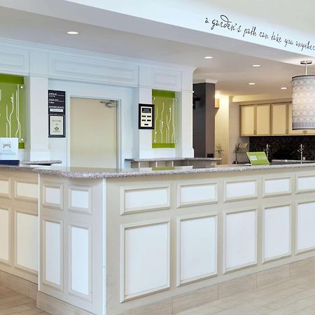 Hilton Garden Inn Charlotte North מראה חיצוני תמונה