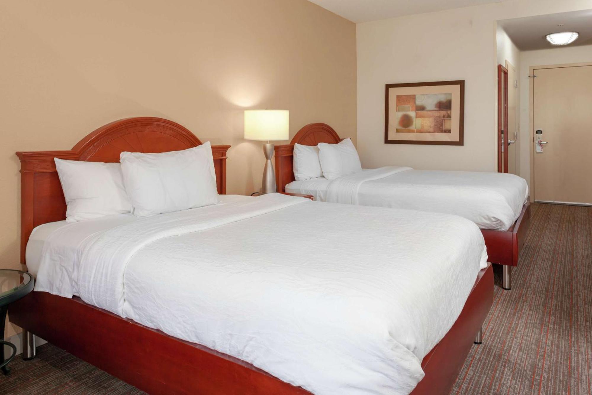 Hilton Garden Inn Charlotte North מראה חיצוני תמונה